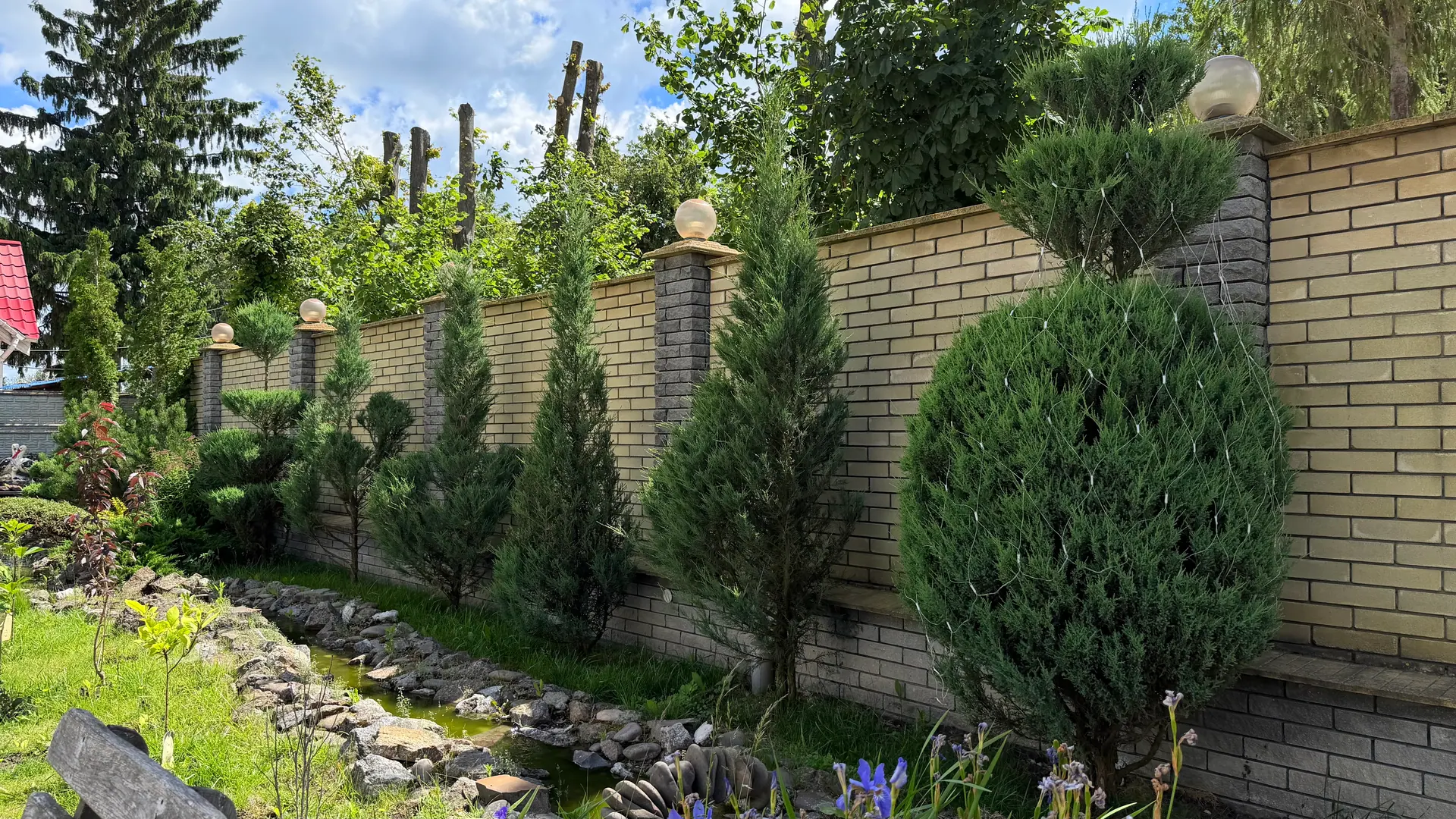Ornamental conifers along a path at Zhyttiedar